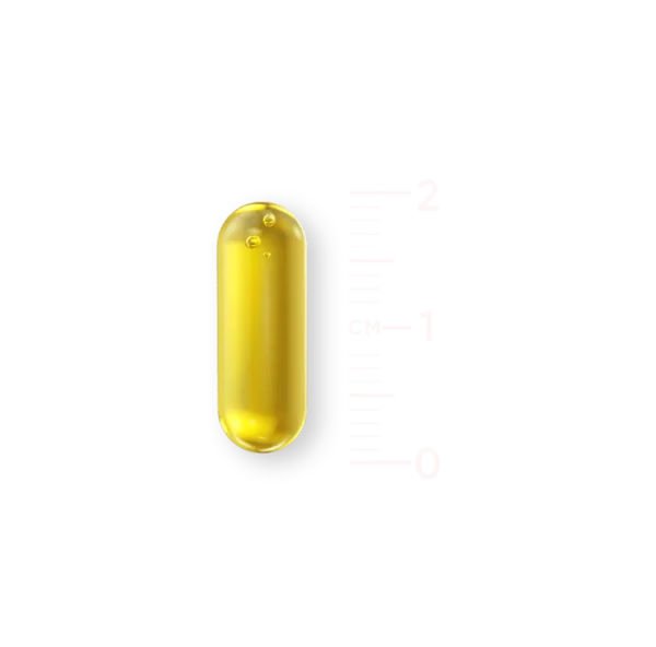 Omega 3 - Afbeelding 2