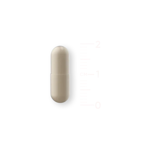 Probiotica - Afbeelding 2
