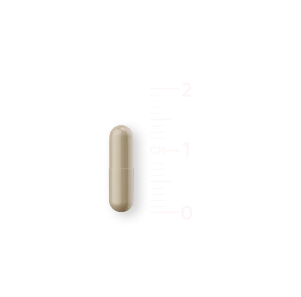 Vitamine D3 - Afbeelding 2