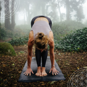 PUUR.yoga PUUR.yoga